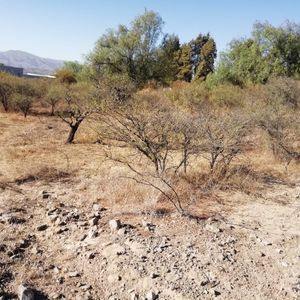 Se Vende Hermoso Terreno De 1000 M2