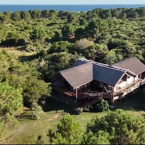 Casa Fénix - San Antonio - Rocha