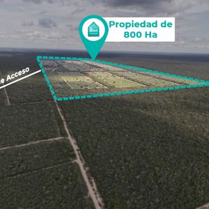 Propiedad Ganadera En Venta En Pailon Sur 