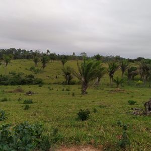 196 Hectareas En Urubo Norte 