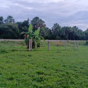 En Venta 500 Hectáreas Sobre Carretera Asfaltada – 40 Kms Guayaramerin