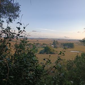 Oportunidad! Hermosa Chacra En Venta En Lavalleja, 10 Dormitorios, Pscina,
