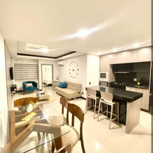 Departamento De 1 Dormitorio Amoblado  Sky Elite