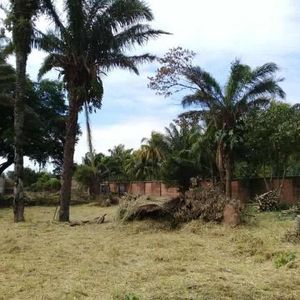 Gran Oportunidad De Inversión