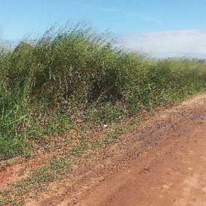 En Venta Terreno Zona Norte A 200m² De La Carretera Entre Warnes 