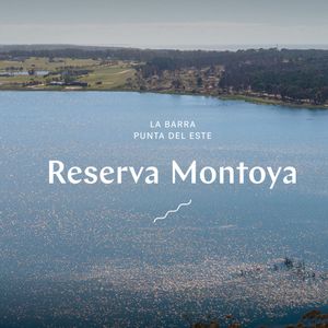 Excelente Lote Alto En  En Barrio Privado Reserva Montoya