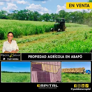 Propiedad Agricola En Venta En Santa Cruz, Abapo, Camiri