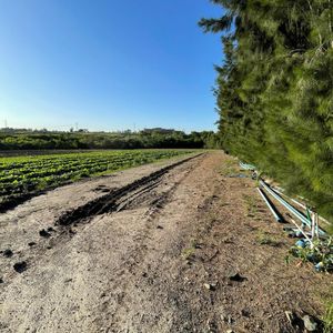 Venta Chacra En Zona Exclusiva De 3,2 Hectareas Entre Ruta 102 Y 8