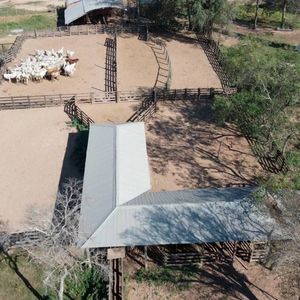 Propiedad Agricola Ganadera En Cañada Larga