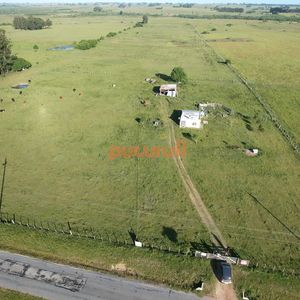 Campo En Venta En San Carlos