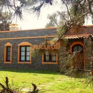 Casa En Punta Ballena, Tio Tom