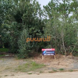 Terreno En Punta Ballena, Tio Tom