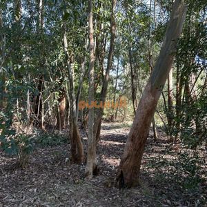 Terreno En La Juanita