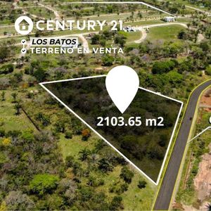 Terreno En Venta Sobre La Carretera A Porongo