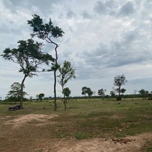 Propiedad En Venta En Paurito-santa Cruz