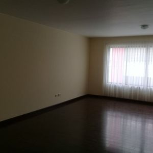 Alquiler Departamento Calle 31