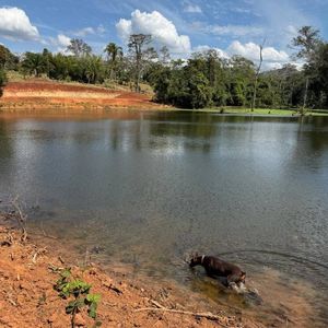 Unidad Productiva Ganadera En San Javier