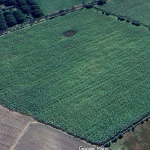 Propiedad Cañera En Venta (tc7)