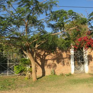 Casa  Plan 3 Mil Zona Mercado Guapuru 