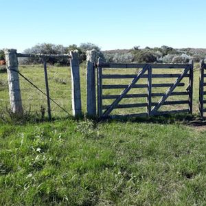 Campo A La Venta De 135 Hectareas, En Poblado Colón, Lavalleja
