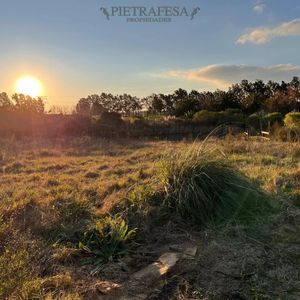 Campo N Venta- Abayubá