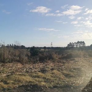 Terrenos En Venta- Abayubá
