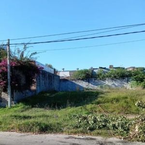 Terreno En Venta -malvin Norte