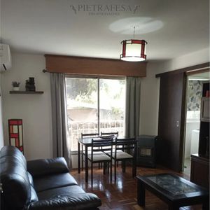 Apartamento En Alquiler, 1 Dormitorio, 1 Baño, Terraza Lavadero. Malvin.