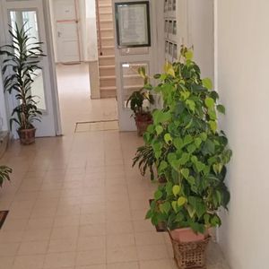 Apartamento En Venta Con Renta 2 Dormitorios, 1 Baño- Joanicó-unión