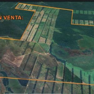 Propiedad En Venta En Guarayos