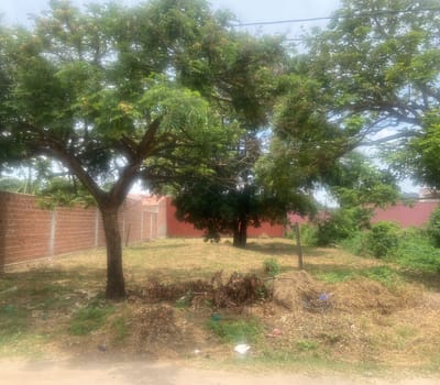 Terreno En Venta En Urbanización El Quior – Plan 3000