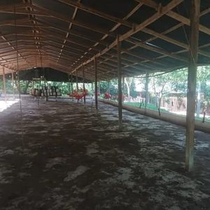 Granja Avícola En Venta – Lista Para Producción