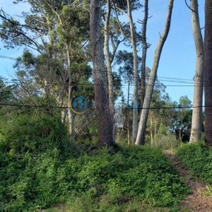 Venta De 4 Terrenos En Zona De Privilegio