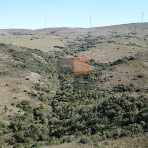 Excelente Chacra De 86 Hectáreas