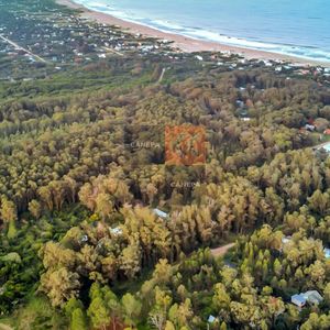 Terreno  De 1.5 Has En La Pedrera, Para Desarrollo Inmobiliario