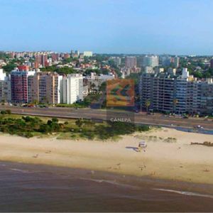 Monoambiente A Estrenar En Malvín