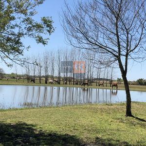 Chacra De 5has En Barrio Privado