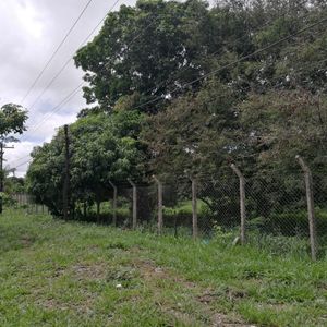 Terreno En Venta Sobre La Carretera En La Guardia Km. 16, 30 Hectáreas