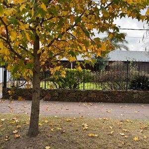 Casa En Alquiler De 3 Dormitorios Y Apto Planta Alta En Carrasco Sur