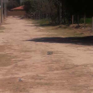 Lote En Venta En Sipe Sipe  A Dos Cuadras Del Balneario "el Vergel"  