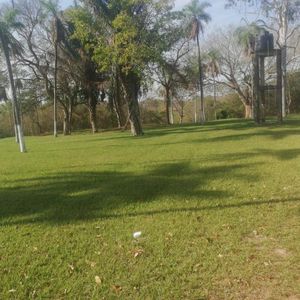 31 Hectareas En Venta Zona Norte