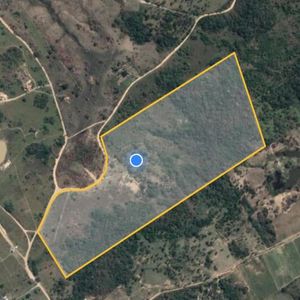 Terreno Agrícola En Venta 