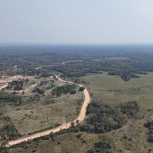 Terreno En Venta , Urubo, 100 Hectareas.