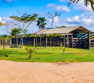 En Venta Hacienda Ganadera En Santa Cruz 