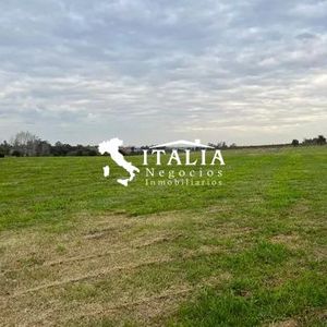 Ruta 5 Y Cno. Redención 5.5 Hectareas A 1500 Mts. De Uam