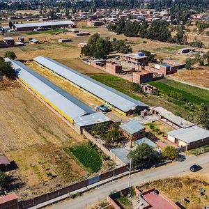 Granja En Venta Vinto