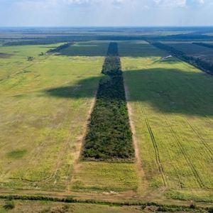 Propiedad Agricola, Municipio San Julian Km16