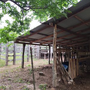 Propiedad En Alquiler O Venta