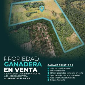 Oferta De Propiedad Ganadera