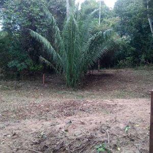 Terreno De 500,41 M2 En Esquina